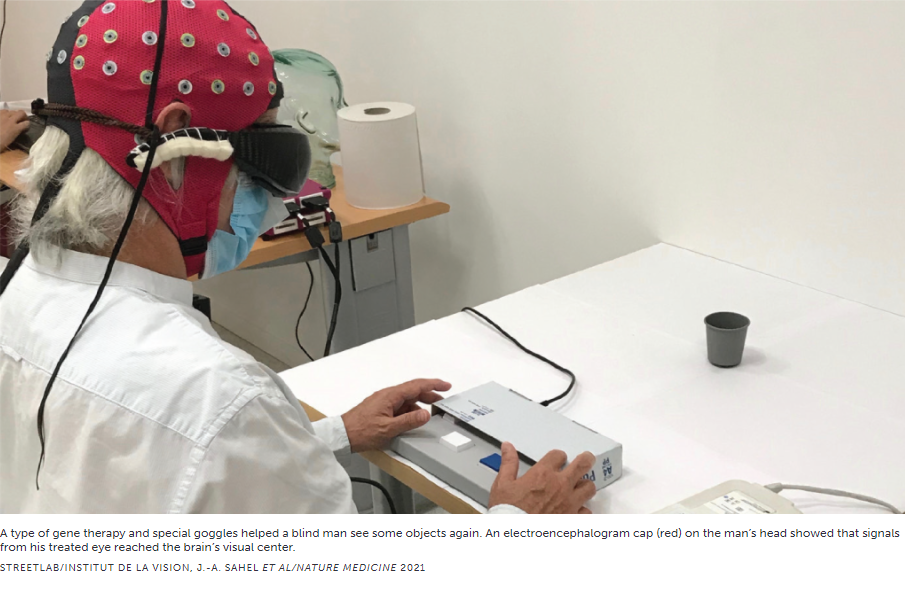 Gen temelli terapi, kör bir adamın vizyonunu kısmen restore etti