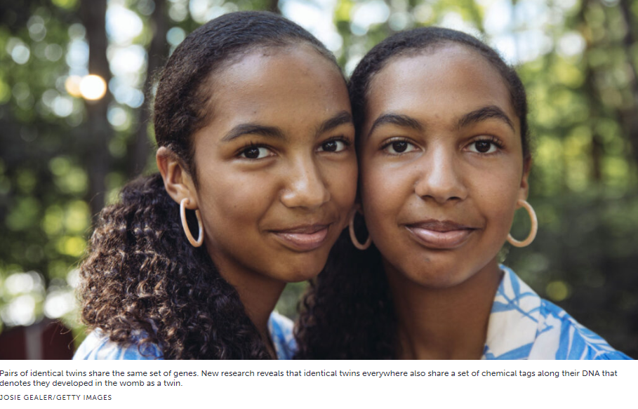 Tüm tek yumurta ikizleri, DNA'larında ortak bir kimyasal marker setini paylaşabilir.